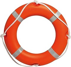 Guía para instalar un salvavidas en la piscina de forma segura