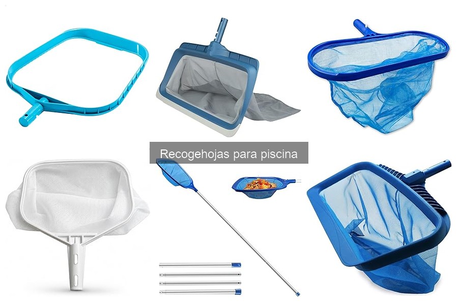 Alternativas al Recogehojas para Mantener Limpia la Piscina