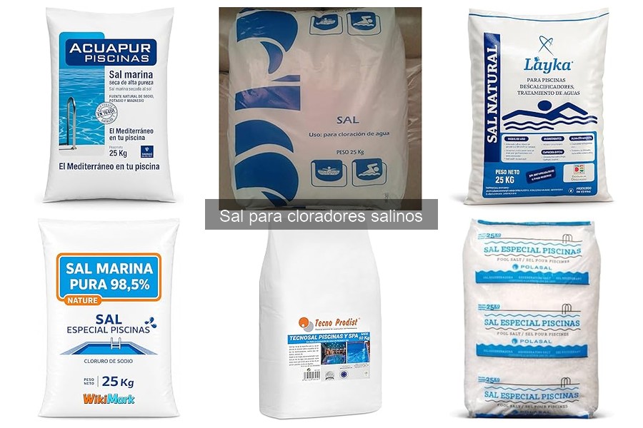 Cómo usar sal en un clorador salino de manera efectiva