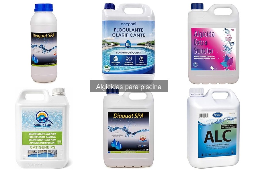Comparativa de algicidas líquidos y sólidos para piscinas