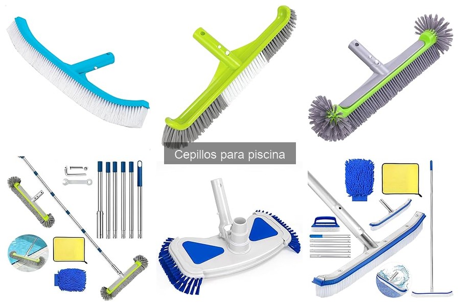 ¿Cuánto cuesta un cepillo para piscina? Guía de precios 2023