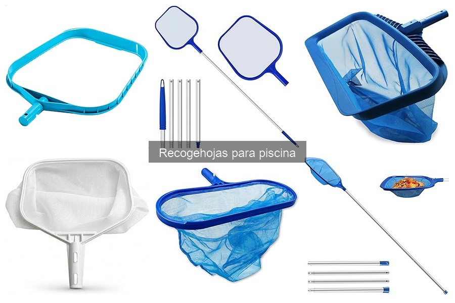 Dónde comprar recogehojas para piscina: las mejores opciones