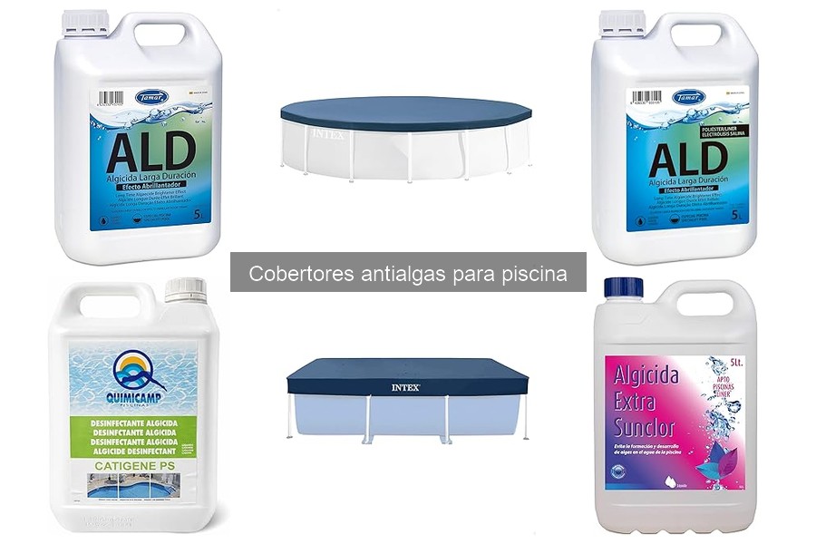 Problemas comunes con cobertores antialgas para piscina