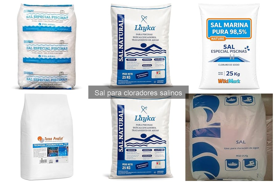 Ventajas y Desventajas de Usar Sal en Cloradores Salinos